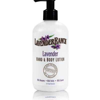 Lavender Hand & Body Lotion 12 oz.